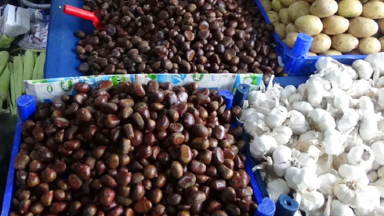 Foto - Ormanların altın madeni gibi! Kilosu 900 lirayı gören o lezzeti toplayanlar köşeyi dönüyor