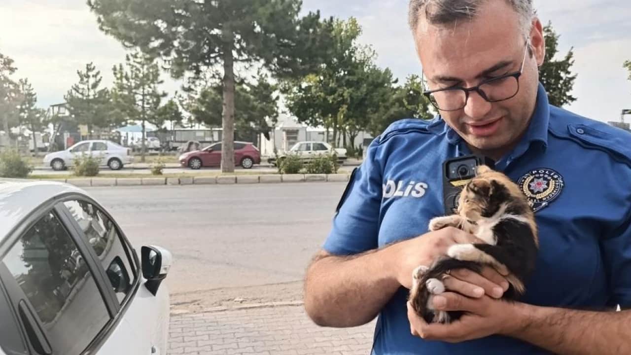 Otomobilin motor kısmına sıkışmıştı! Minik kedinin imdadına polis yetişti
