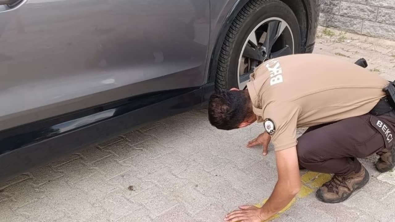 Foto - Otomobilin motor kısmına sıkışmıştı! Minik kedinin imdadına polis yetişti