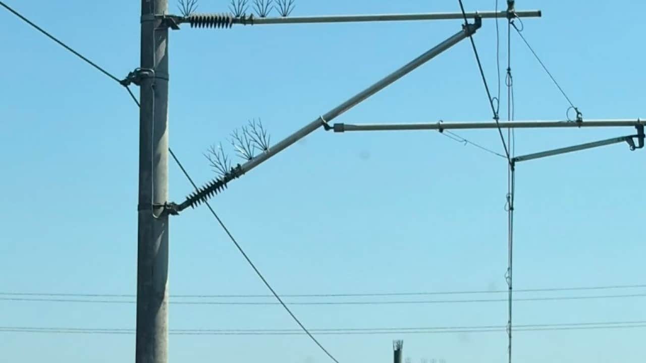 Foto - Özel önlemler hayata geçirildi Demiryolunda ‘leylekkonmaz’ tedbiri