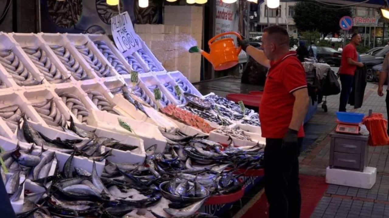 Palamut bolluğu tezgahlara bereket getirdi