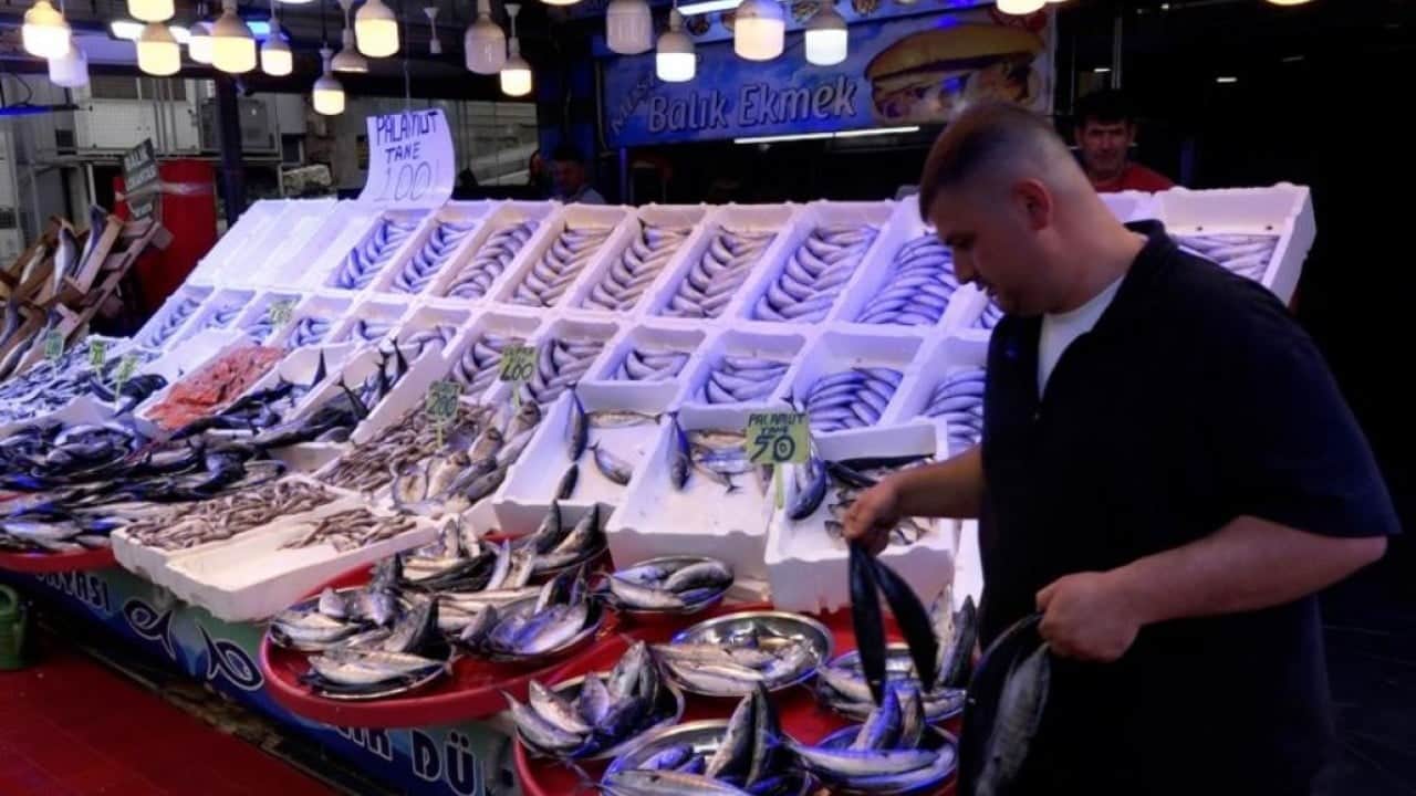Foto - Palamut bolluğu tezgahlara bereket getirdi