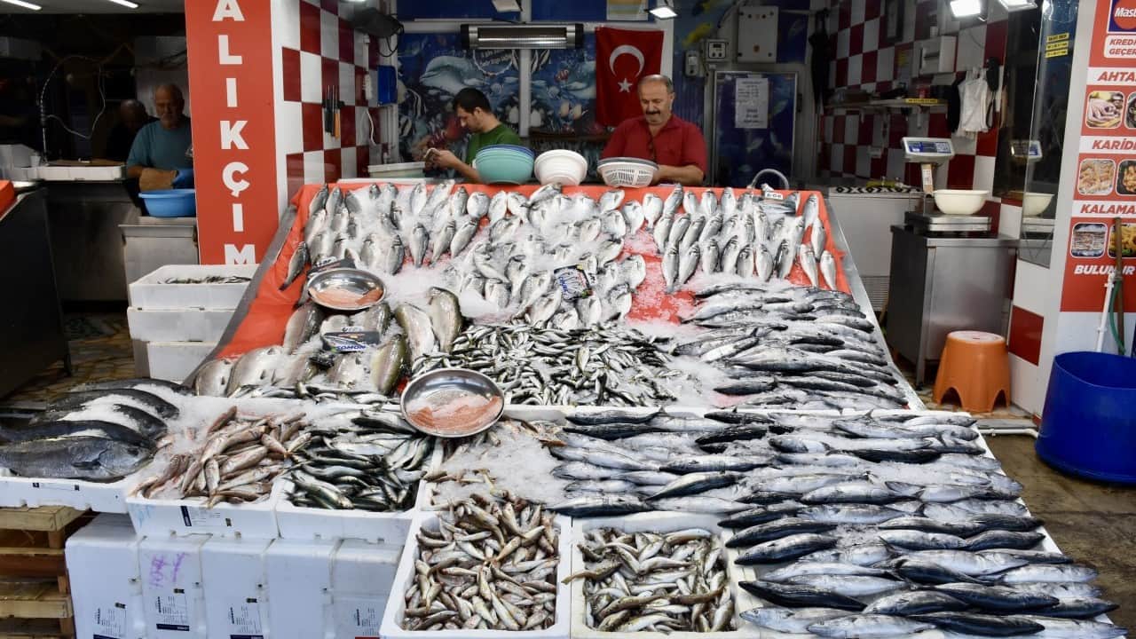 Foto - Palamut fiyatları yüz güldürdü! 'Daha da ucuzlayabilir'