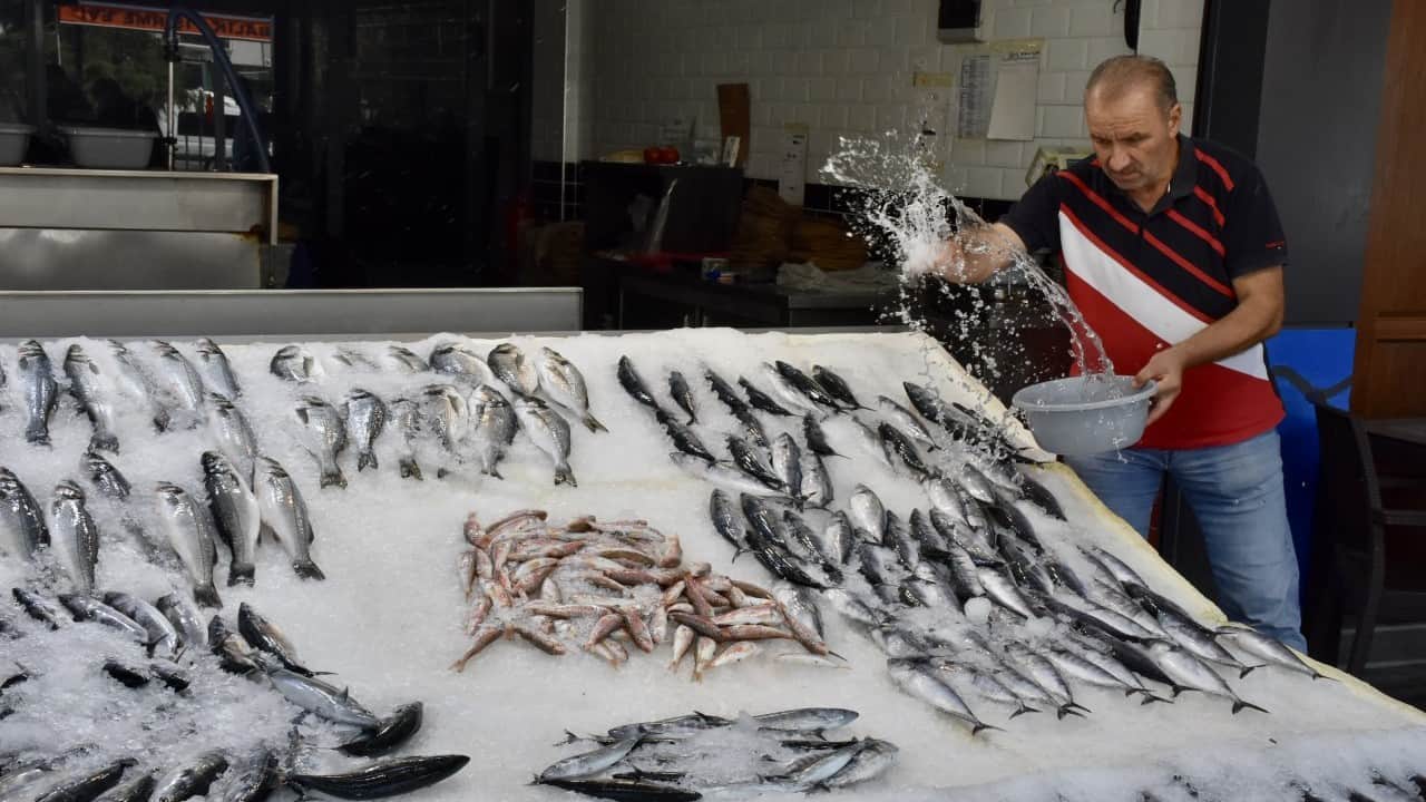 Foto - Palamut fiyatları yüz güldürdü! 'Daha da ucuzlayabilir'