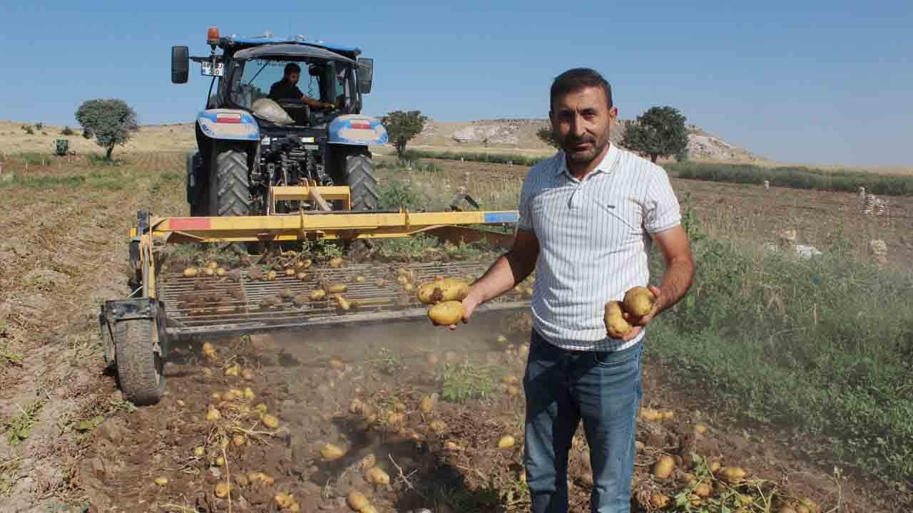 Patateste üretici fiyatı etikete yansımıyor: Tarladan çıkışı 10 lira markette satışı 40 lira