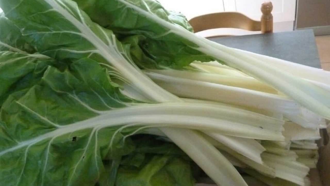 Foto - Pazar ve marketlerde 'peynir ekmek gibi' giden iki sebze için ürküten araştırma: Yemeyin