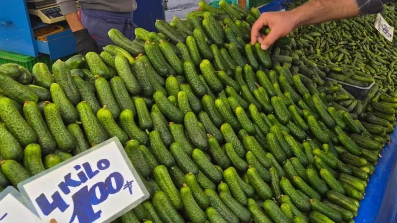 Foto - Pazarlarda turşu telaşı başladı