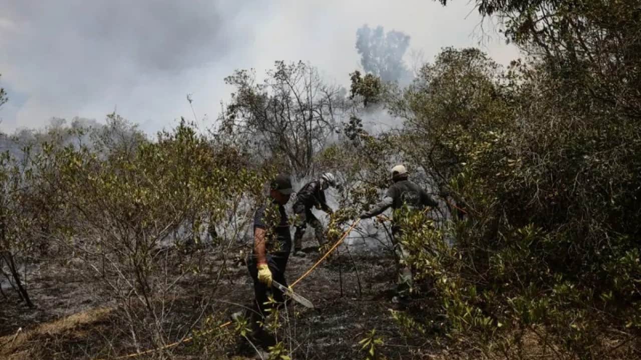 Foto - Petro'dan Büyük İsrail Projesi iddiası! Yangınlarda siyonistin parmağı var