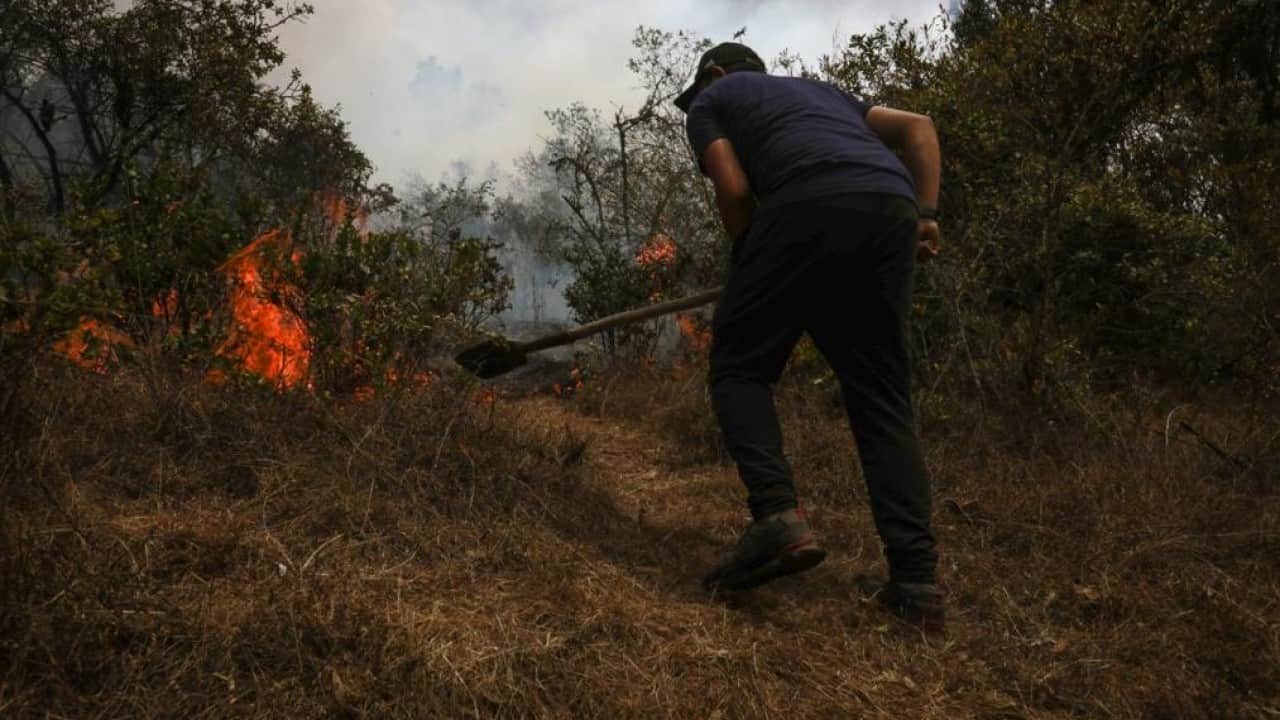 Foto - Petro'dan Büyük İsrail Projesi iddiası! Yangınlarda siyonistin parmağı var