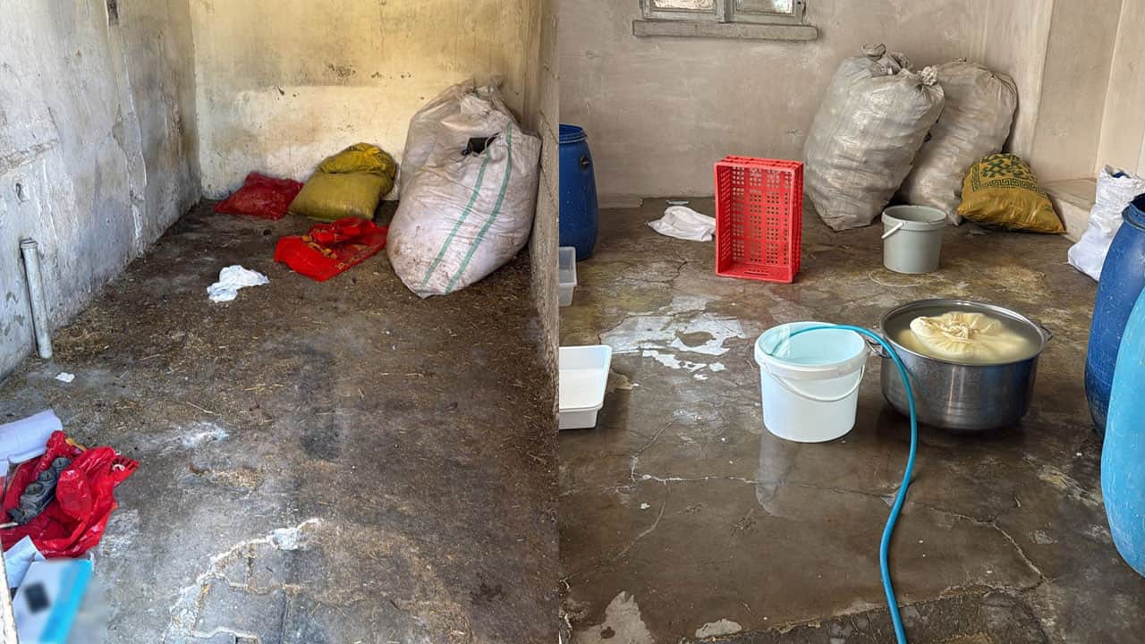 Foto - Peynir üretilen tesisi gören belediye başkanı çıldırdı: İşletme sahibi duvardan atlayıp kaçtı