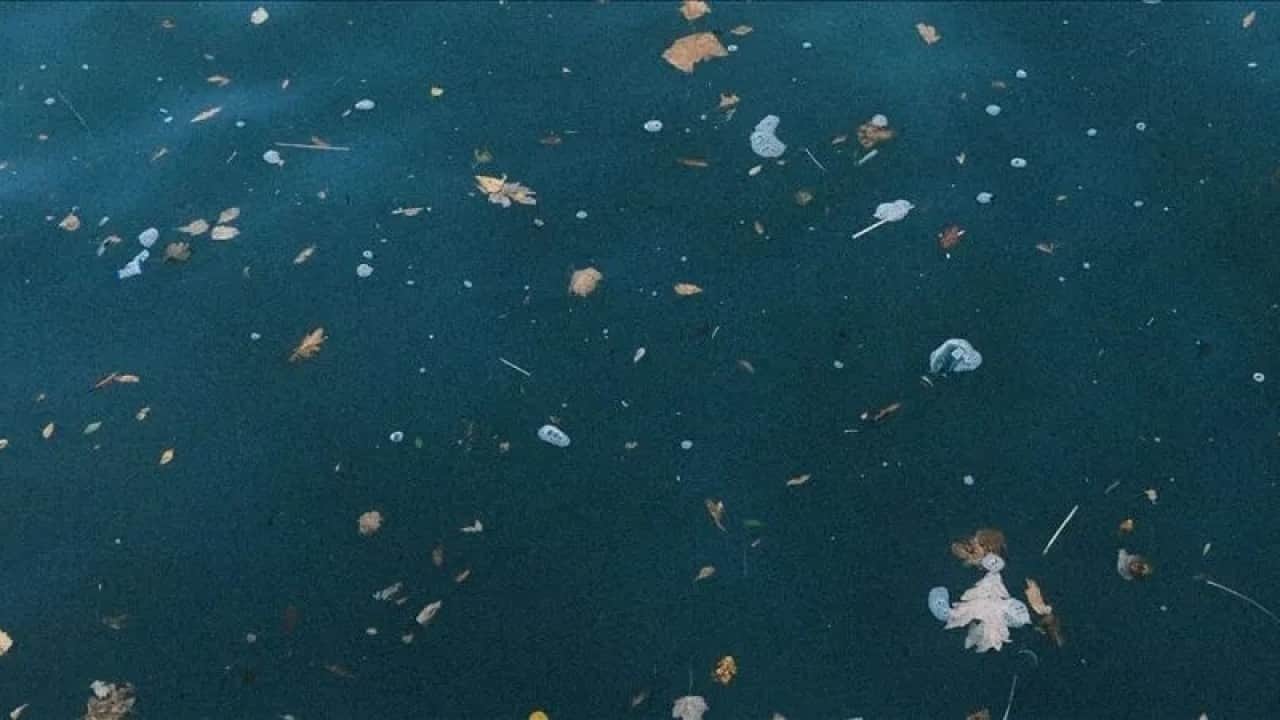 Foto - Plastiği denize taşıyorlar Akdeniz’i kirletenler nehirlermiş!