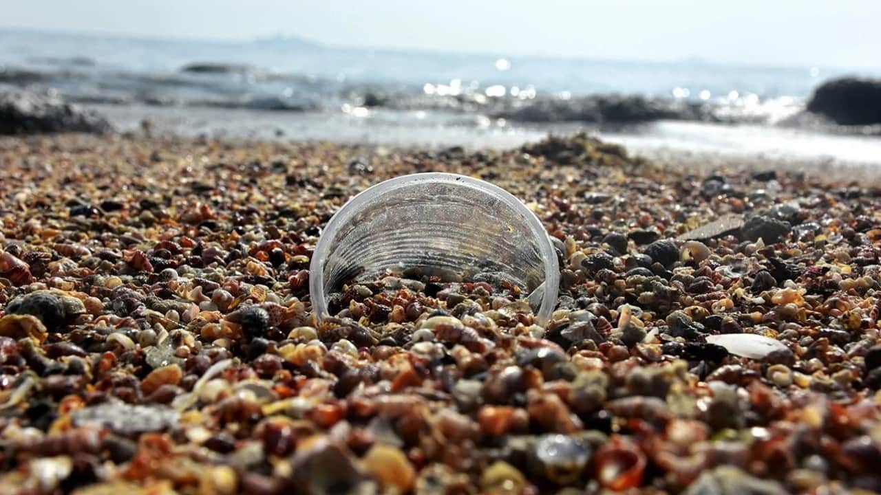 Foto - Plastiği denize taşıyorlar Akdeniz’i kirletenler nehirlermiş!