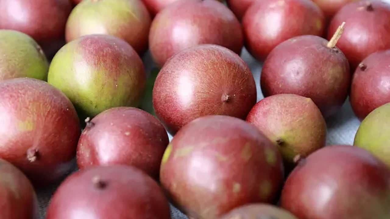 Foto - Portakaldan 60 kat daha fazla C vitamini içeriyor... Bilim insanları: Kilo vermeyi hızlandırıyor! İşe yarayabilir...