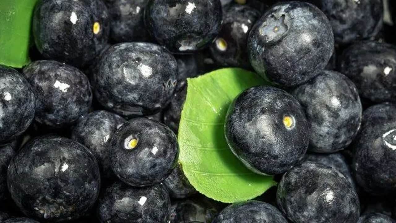 Foto - Portakaldan 60 kat daha fazla C vitamini içeriyor... Bilim insanları: Kilo vermeyi hızlandırıyor! İşe yarayabilir...