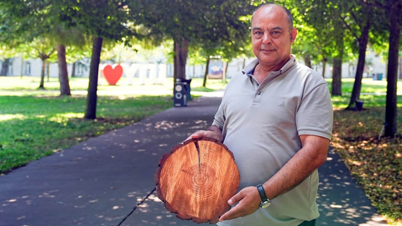 Prof. Dr. Makineci açıkladı: Ağaçların gövdesindeki halkalar doğanın hafızasını taşıyor