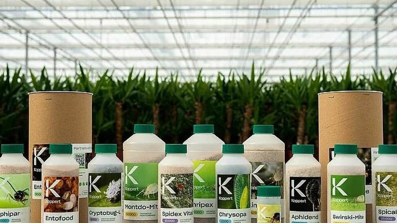 Foto - Rekabet Kurulu’ndan soruşturma 18 firma mercek altında