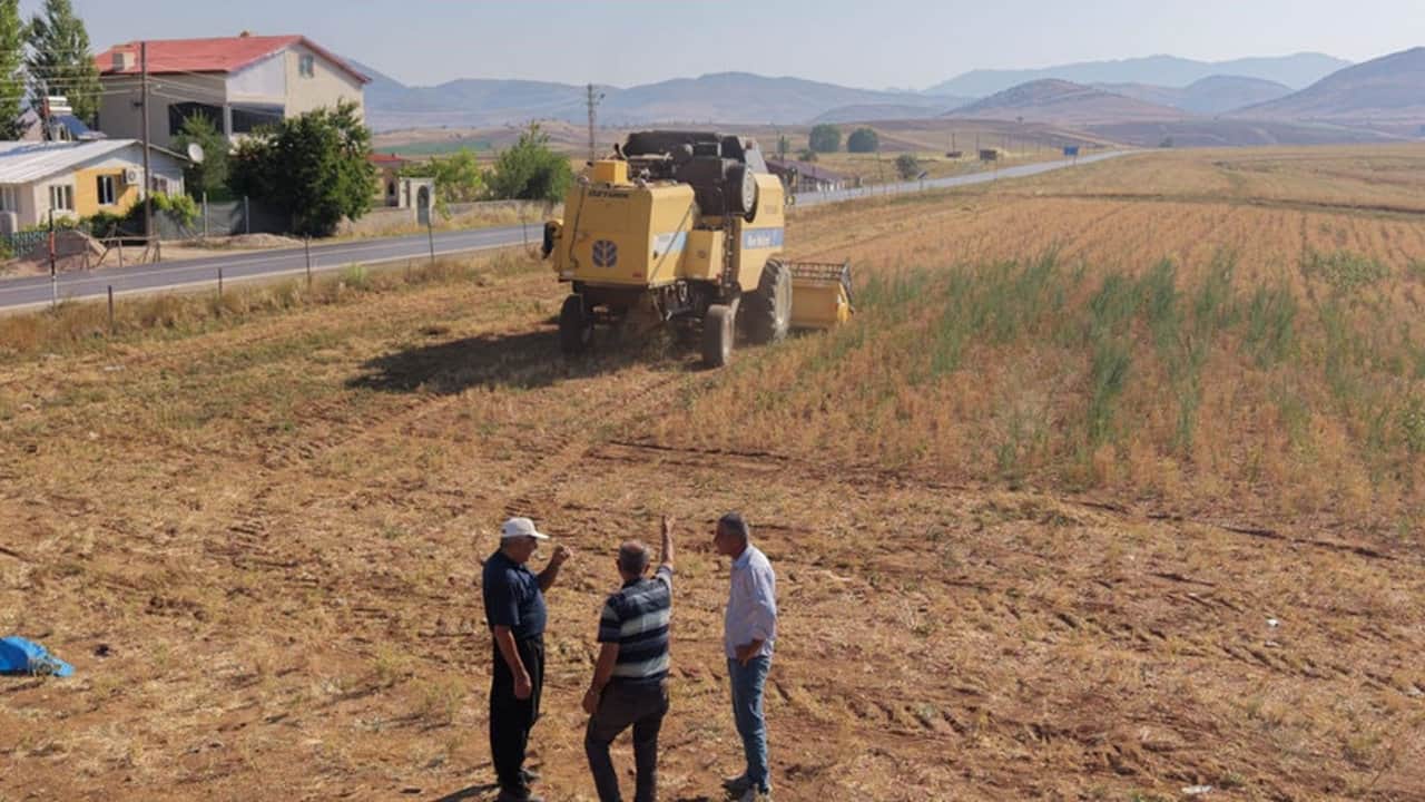 Foto - Rekolte patlaması yaşandı! Kilosu 100 TL’den peynir ekmek gibi kapışılıyor