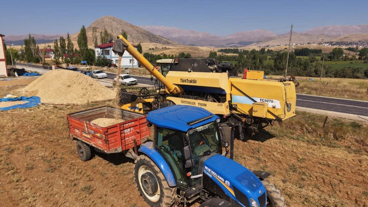 Foto - Rekolte patlaması yaşandı! Kilosu 100 TL’den peynir ekmek gibi kapışılıyor