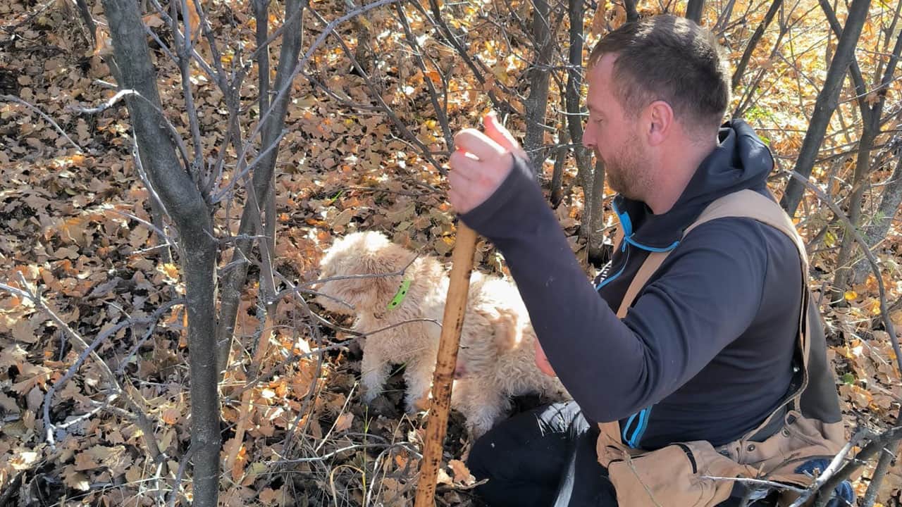 Foto - Resmen hazine buldular! Yer altında 22 ton tespit edildi: Kilosu 750 euro