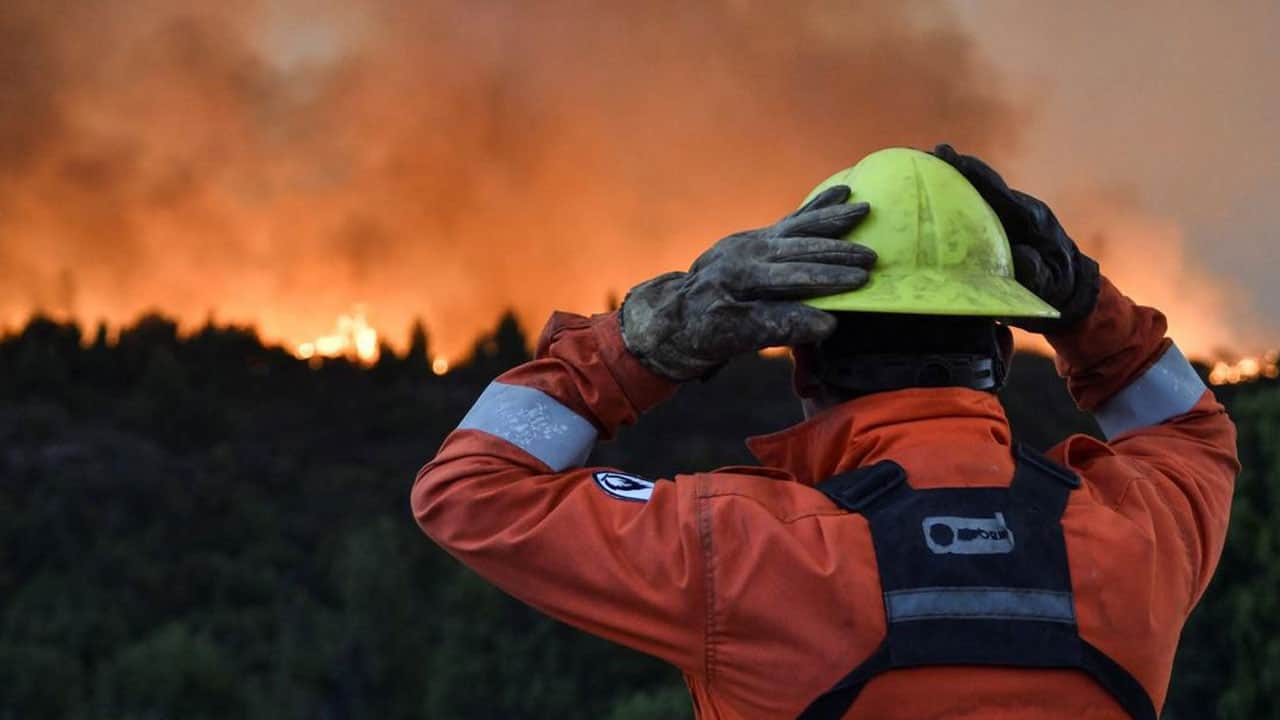Foto - Risk bu yıl daha da yükseldi: ‘Yeşil Vatan’ın kabusu: El nino