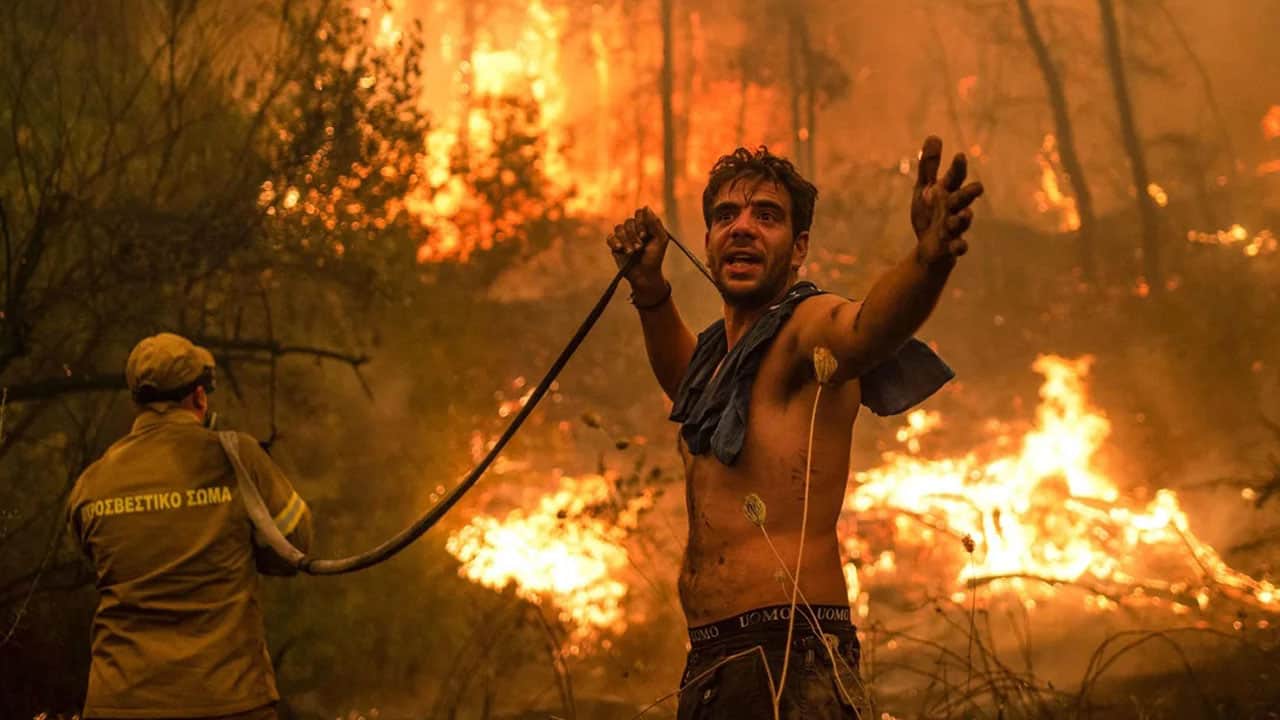 Foto - Risk bu yıl daha da yükseldi: ‘Yeşil Vatan’ın kabusu: El nino