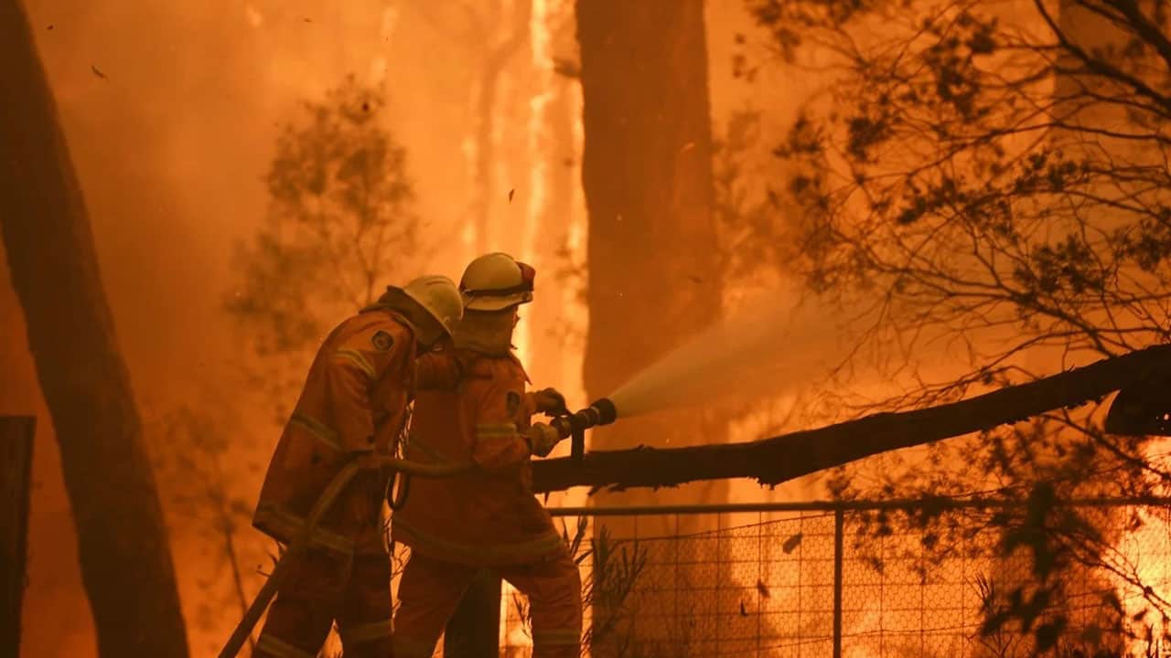 Foto - Risk bu yıl daha da yükseldi: ‘Yeşil Vatan’ın kabusu: El nino