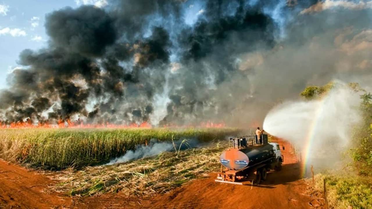 Foto - Risk bu yıl daha da yükseldi: ‘Yeşil Vatan’ın kabusu: El nino