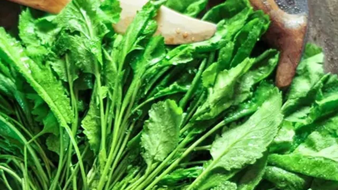 Foto - Roka binlerce yıllık efsane aroma: Hem nefes darlığına hem de sindirime iyi geliyor! Bu yöntem ile organik yetişiyor