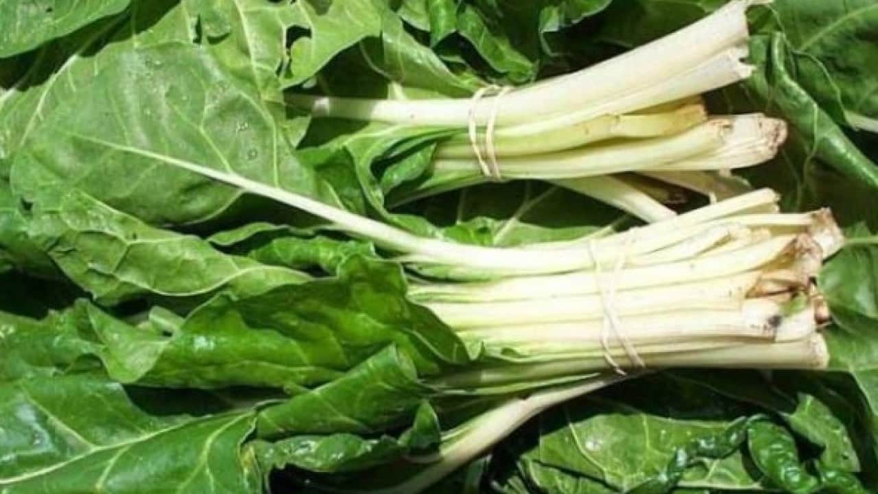Foto - Roka ve pazıyla ilgili kafaları karıştıran soru: Kanser riskini artırıyor mu?