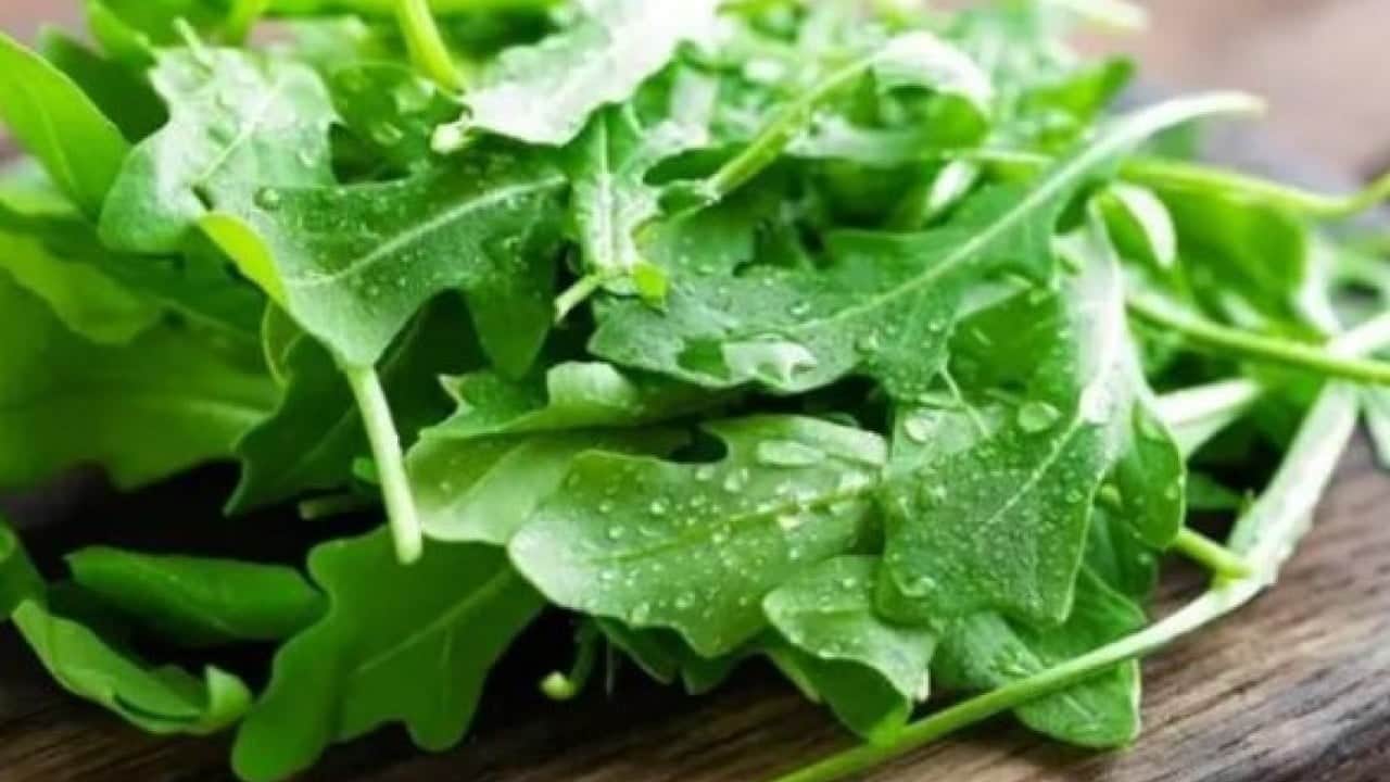 Roka ve pazıyla ilgili kafaları karıştıran soru: Kanser riskini artırıyor mu?