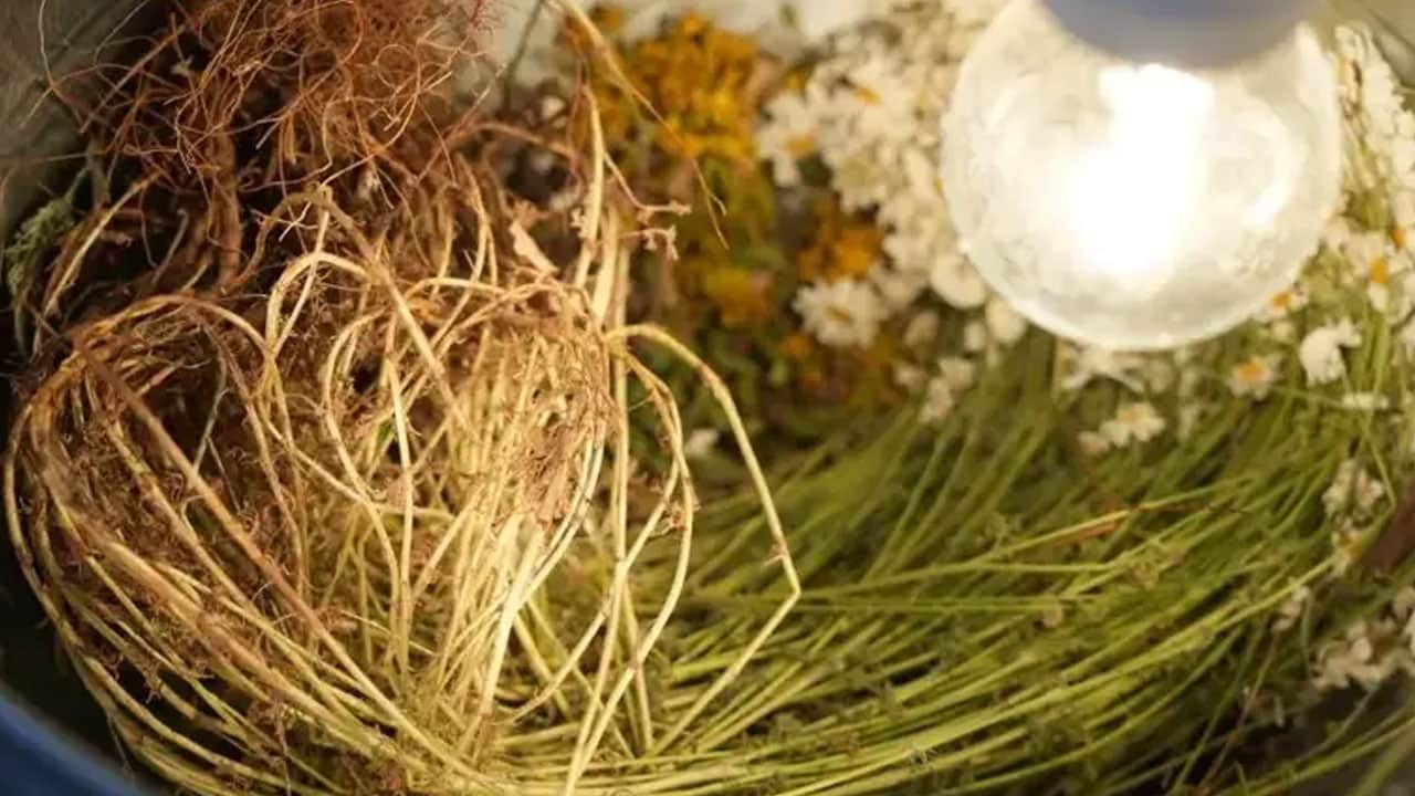 Foto - Ruslar keşfetti, Türkler isim verdi! Türk Bilim insanı çalışmaya başladı! Dünya gözünü o ilimize çevirdi