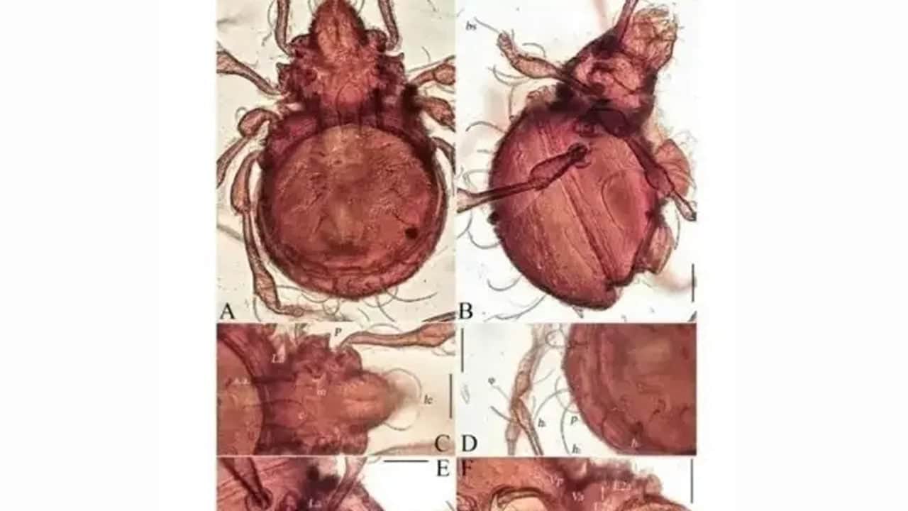 Ruslar keşfetti, Türkler isim verdi! Türk Bilim insanı çalışmaya başladı! Dünya gözünü o ilimize çevirdi