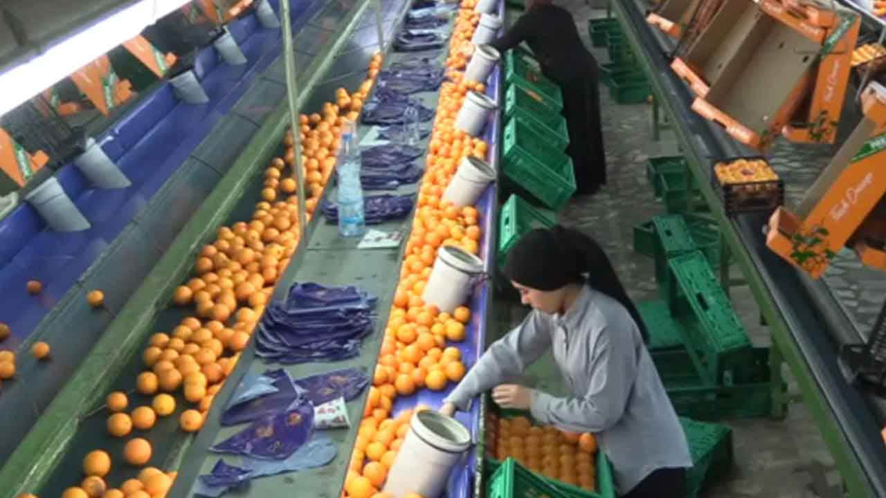 Foto - Rusya 'çare Türkiye' dedi: 585 bin tonluk alım yaptı