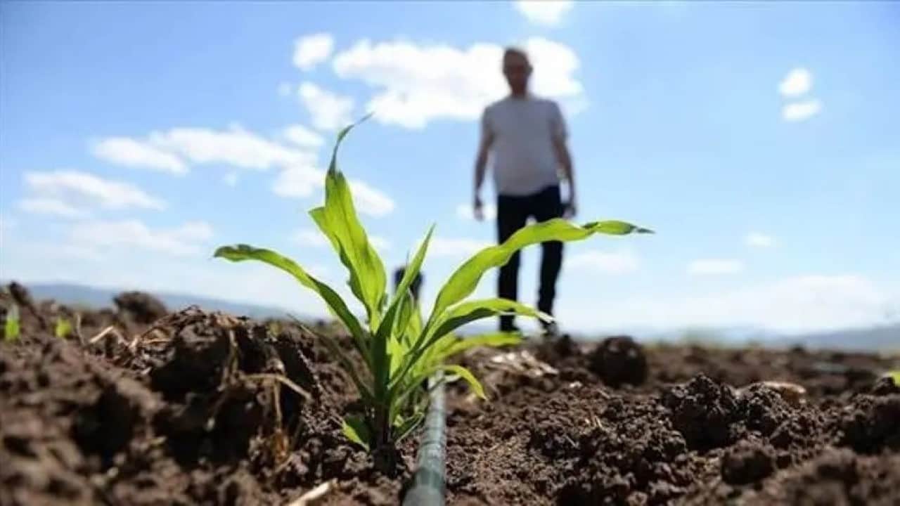 Foto - Rusya Türkiye konusunda işi yokuşa sürüyordu: Büyük sorun çözüldü, tonlarcası ülkeye girmeye başladı