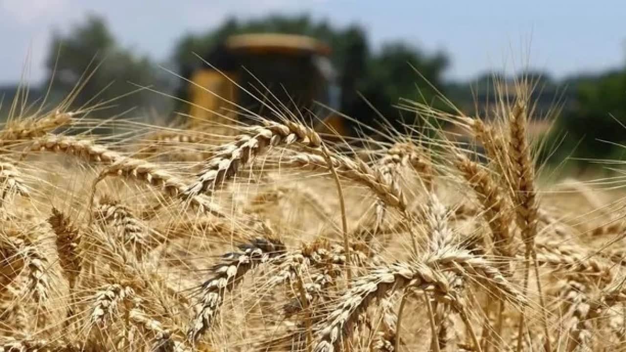 Foto - Rusya'yı havalara uçuran gelişme: Türkiye şartı kaldırdı, 'ne varsa gönderin' dedi