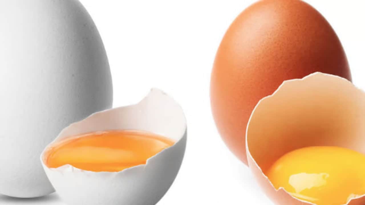 Foto - Sadece kahvaltıda o besin uzun süre tok tutuyor: Tek başına yeterli mi? Sahip olduğu gücü koruyacak, protein dolduruyor 