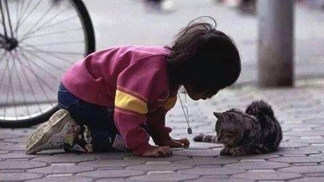 Foto - Sağlıklı ilişkileri ve aidiyet duygusunu güçlendiriyor: İyilik, yapana da iyi geliyor 