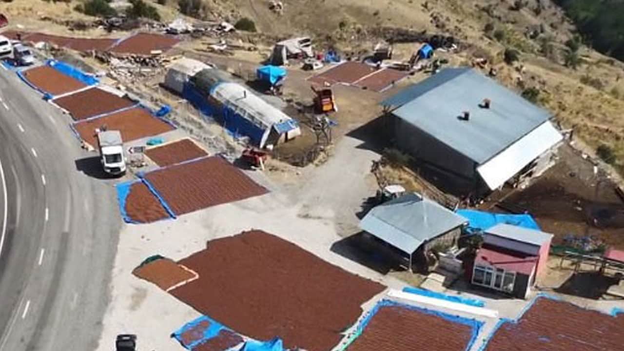 Foto - Sahilde 10 günde kuruyor, burada 2 gün yetiyor! Fındık üreticisi güneşin peşine düştü