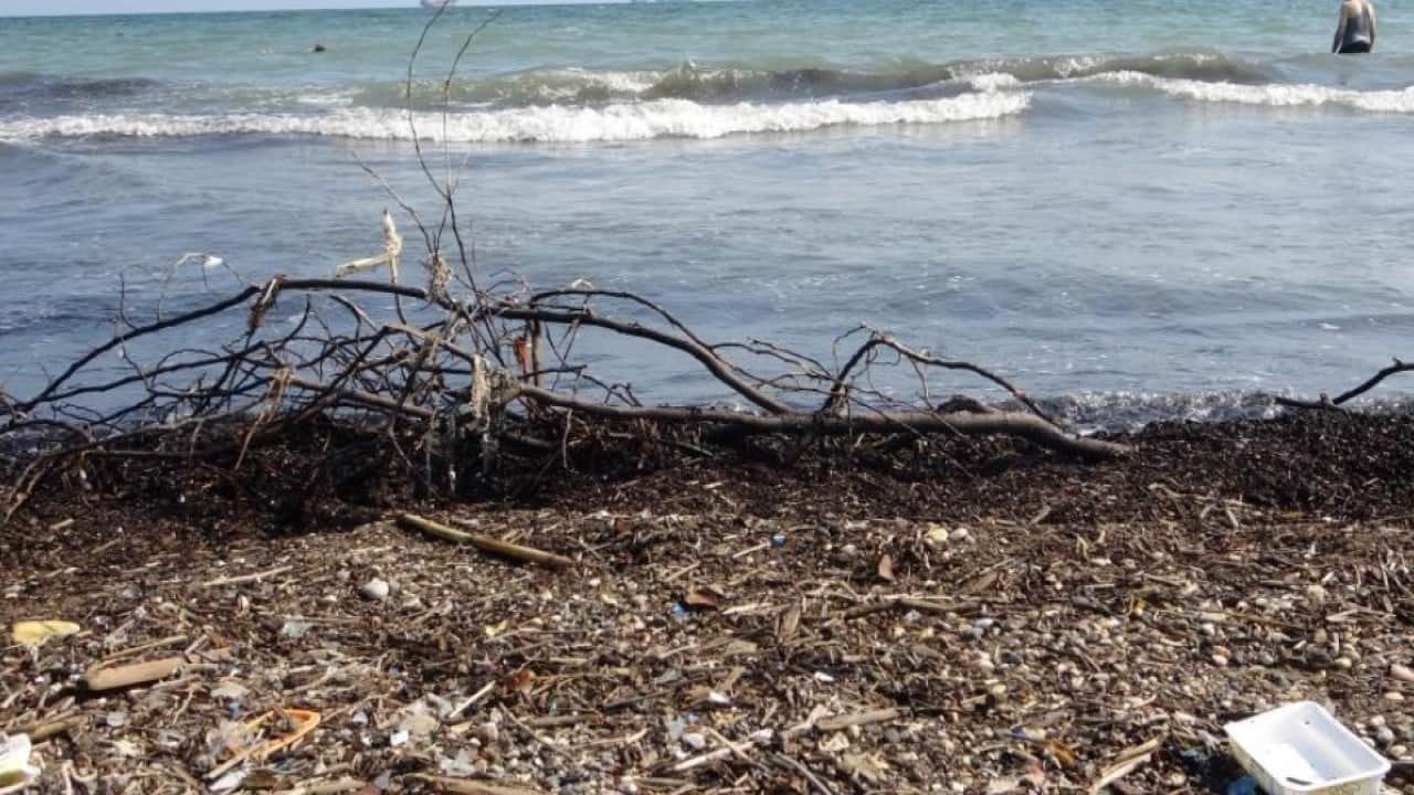 Foto - Sahilleri çöp ve plastik atıklar sardı! CHP'nin yönettiği o ilde kirlilik alarmı