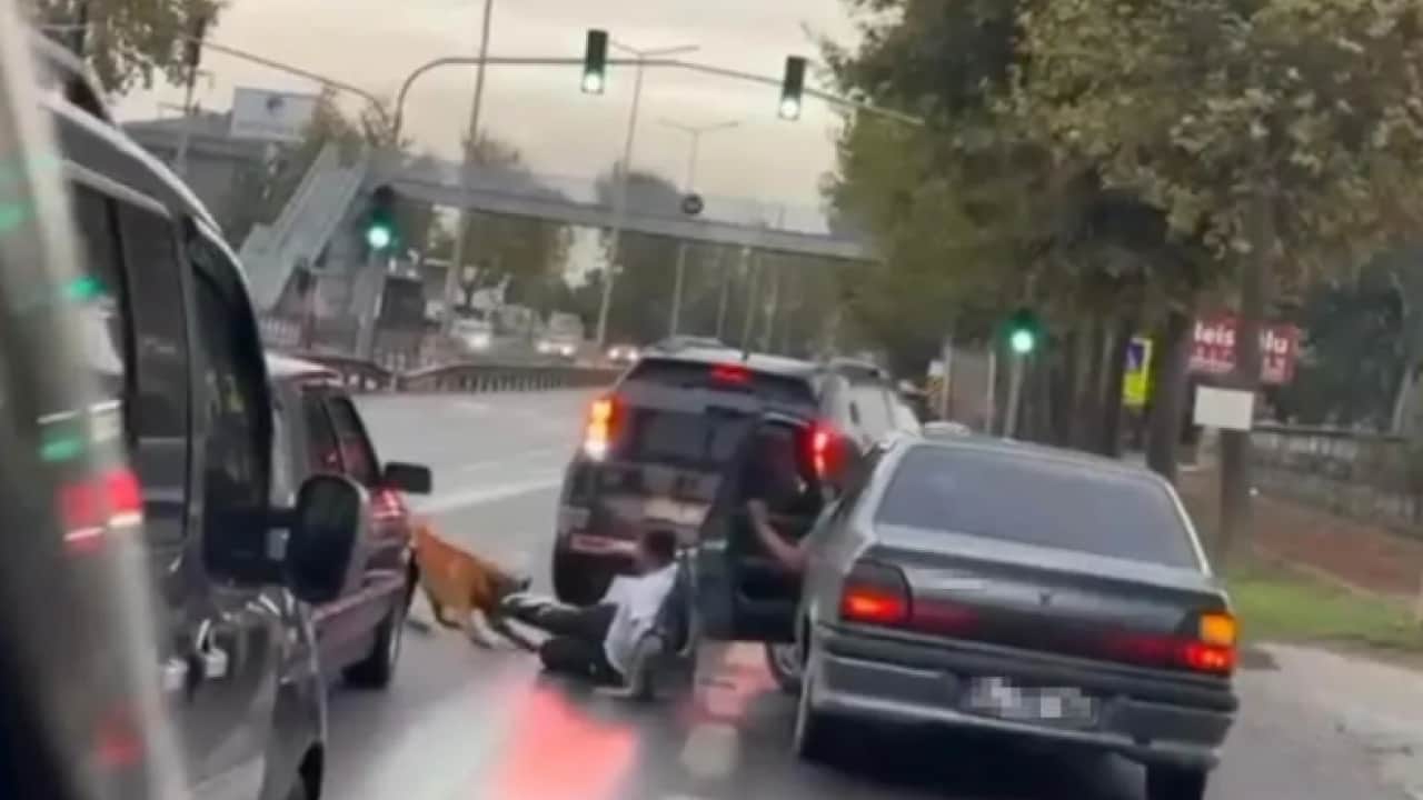Foto - Sakarya’da ekmek almaya giderken saldırıya uğramıştı: Yaşadığı köpek dehşetini anlattı