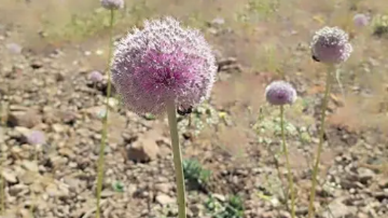 Foto - Sakın izinsiz el sürmeyin: Milyonlarca lira ceza alabilirsiniz!