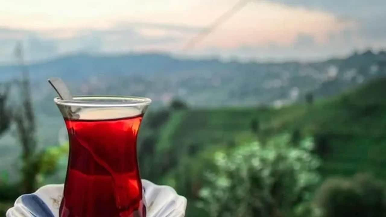 Foto - Saklanan çaya dikkat: Tazeliğini fark etmeden bitiriyor, kendinizi zehirlemeyin... Ortaya çıkan işte sebebi 