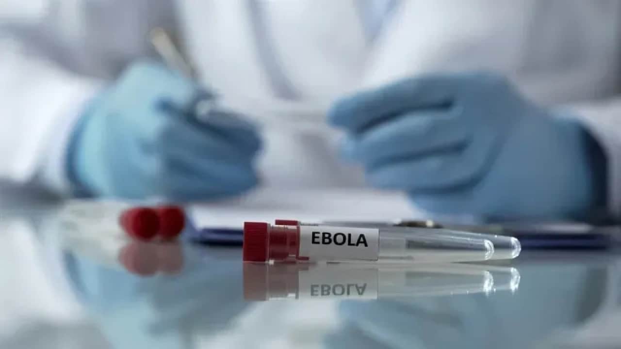 Foto - Salgın işgalcilere sıçradı: Terör devletine Ebola şoku