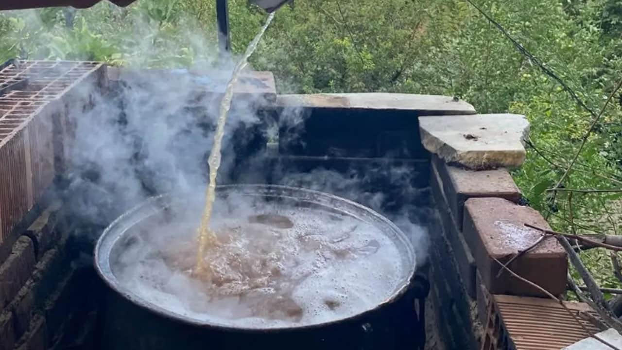Foto - Salkım üzümleri ayakla ezip saatlerce kaynatılıyor: Bu basit noktalara dikkat etmek lazım... Değerini kat kat artırıyor...