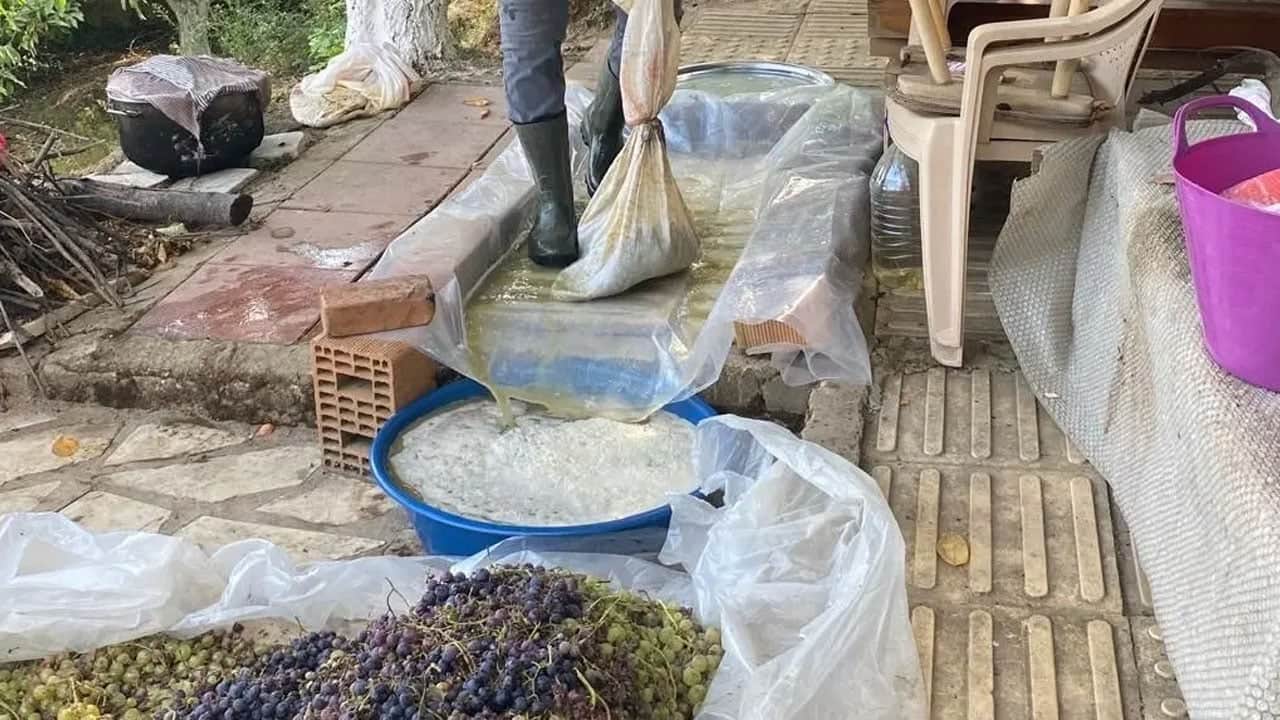 Foto - Salkım üzümleri ayakla ezip saatlerce kaynatılıyor: Bu basit noktalara dikkat etmek lazım... Değerini kat kat artırıyor...