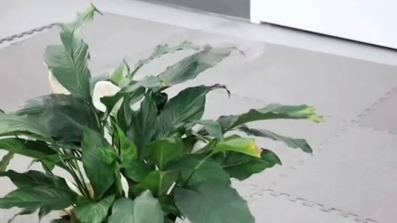 Foto - Saniyede 25 tur atan dron, gözle fark edilmeyi zorlaştırıyor
