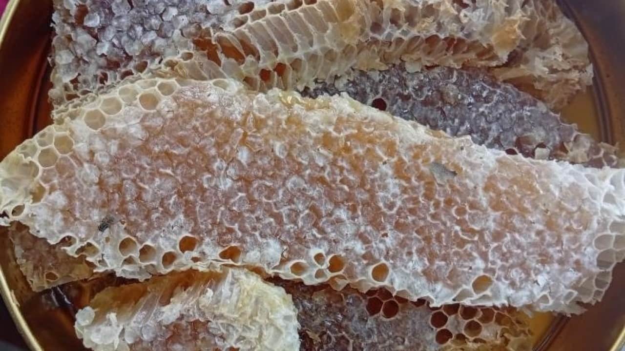 Foto - Sason'da ağaç kovuklarından çıkan balın kilosu çeyrek altını geride bıraktı