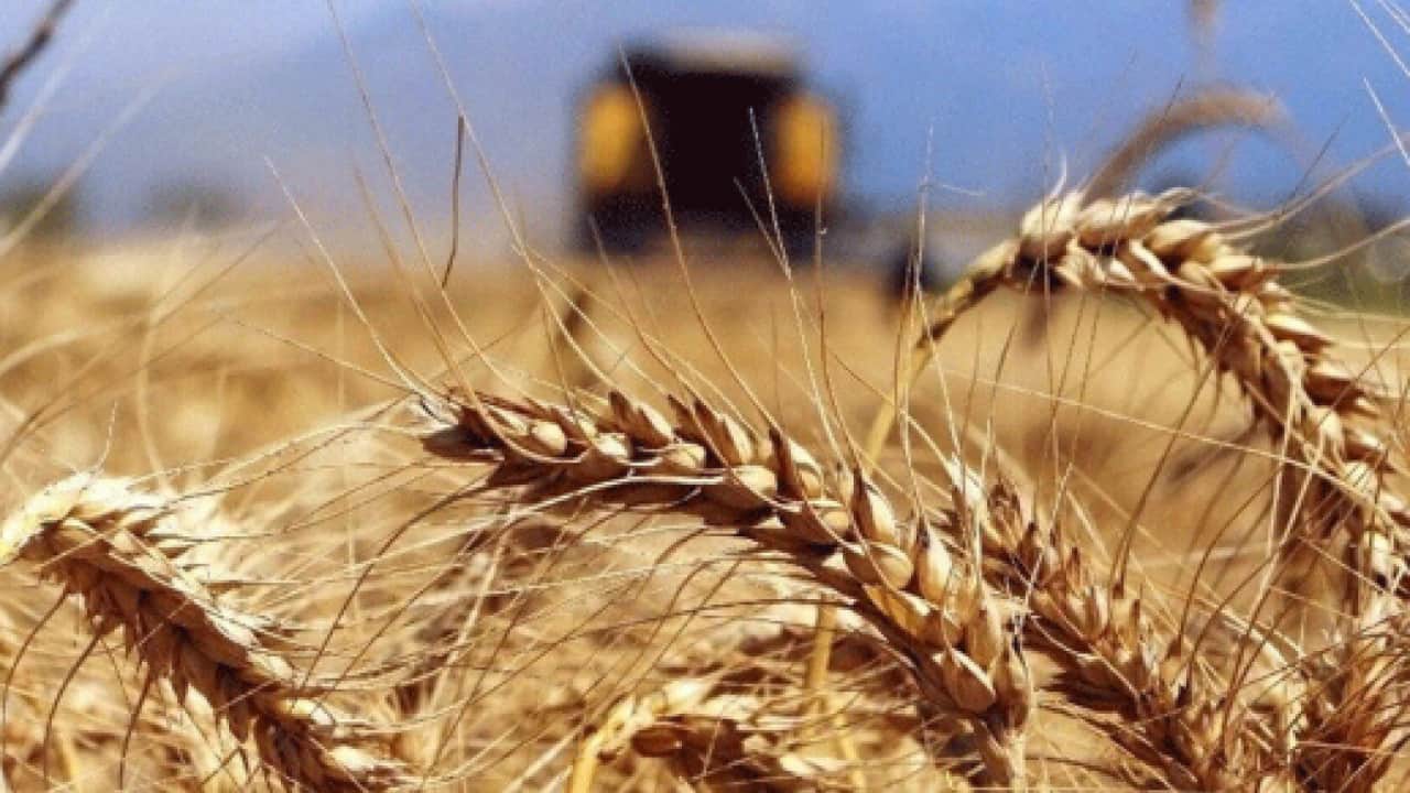 Foto - Savaşlar cepleri yakıyor: Küresel gıda fiyatları tavana vurdu!