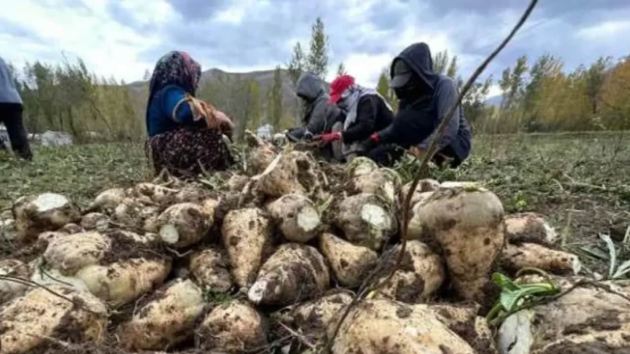 Foto - Savaşlar cepleri yakıyor: Küresel gıda fiyatları tavana vurdu!