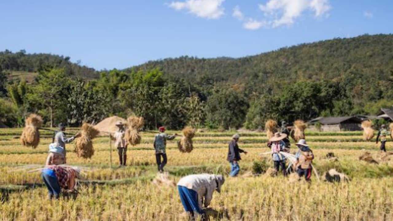 Foto - Savaşlar cepleri yakıyor: Küresel gıda fiyatları tavana vurdu!